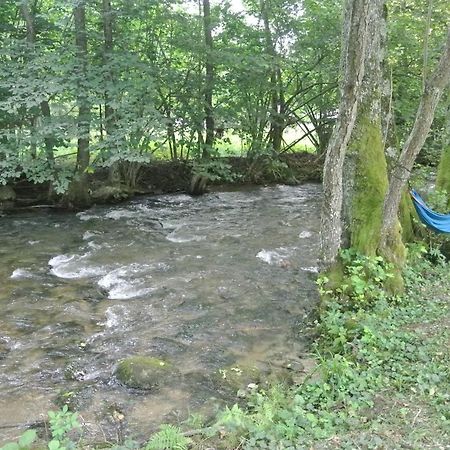Chalet By The River Văliug Esterno foto