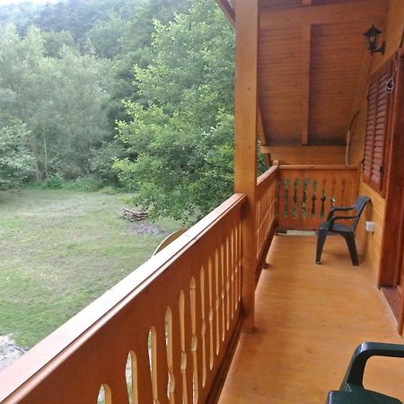 Chalet By The River Văliug Esterno foto