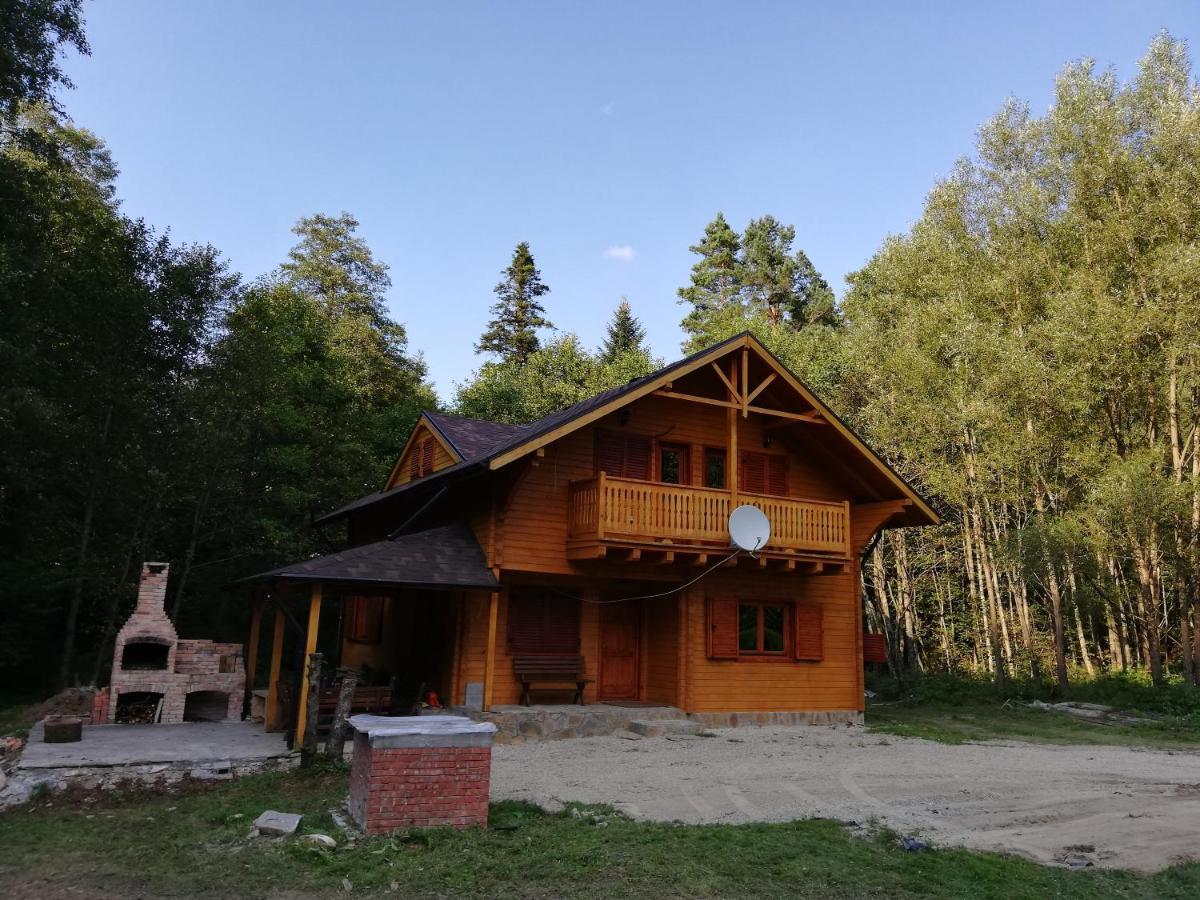 Chalet By The River Văliug Esterno foto