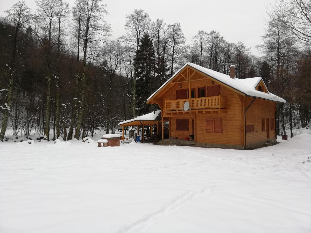 Chalet By The River Văliug Esterno foto