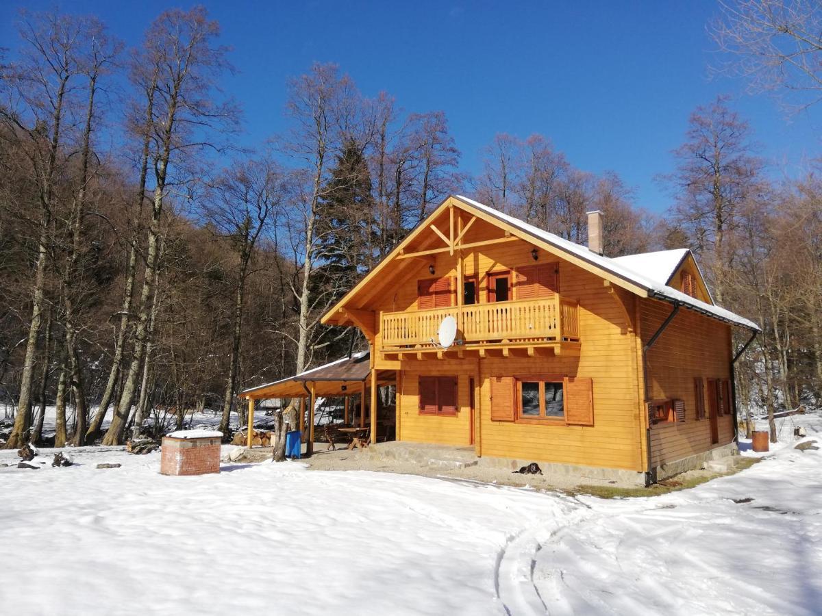 Chalet By The River Văliug Esterno foto