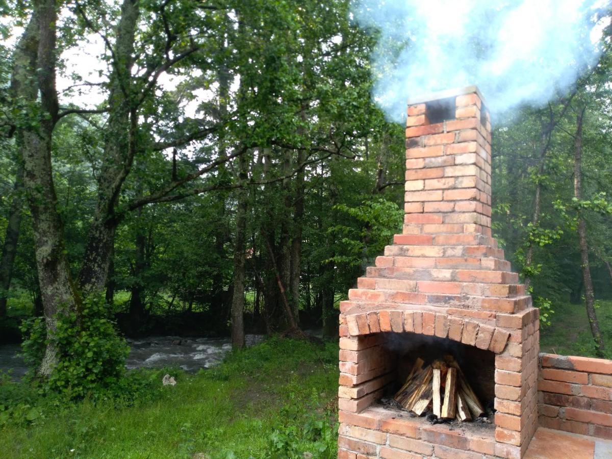 Chalet By The River Văliug Esterno foto