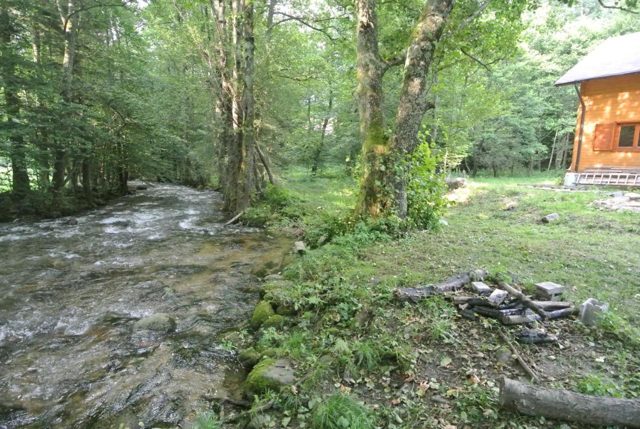 Chalet By The River Văliug Esterno foto