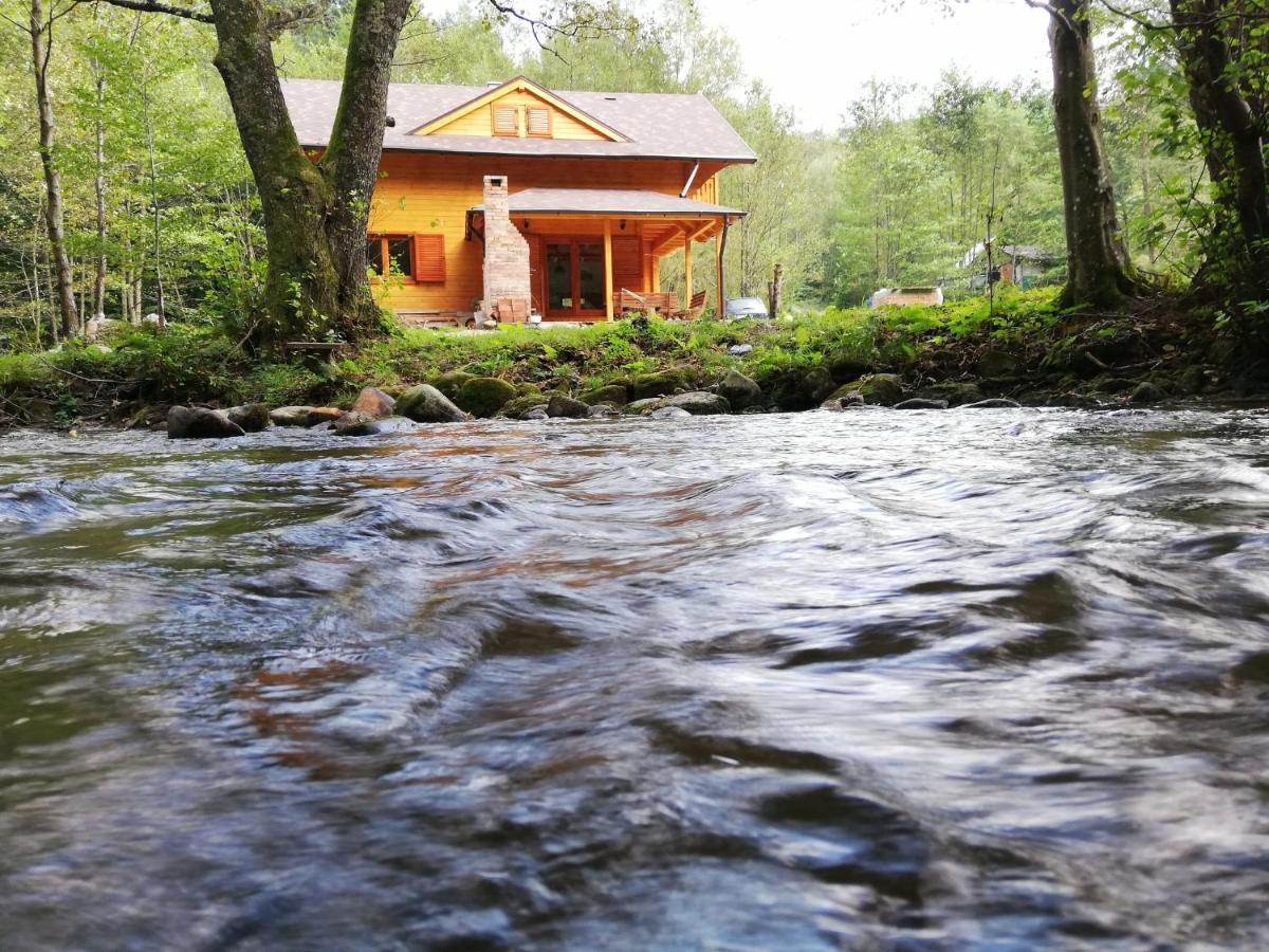 Chalet By The River Văliug Esterno foto
