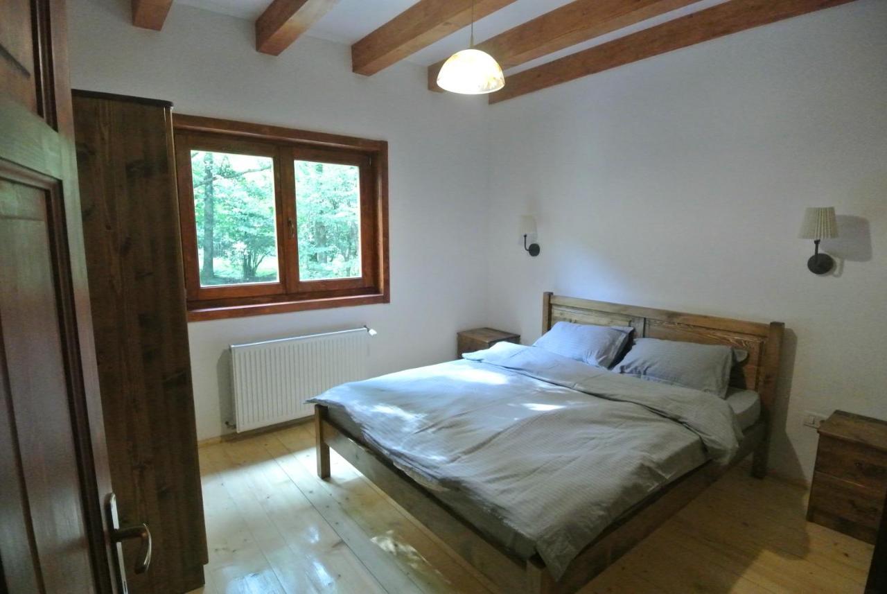 Chalet By The River Văliug Esterno foto