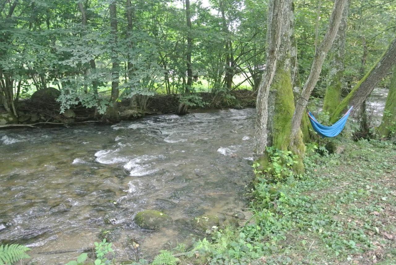 Chalet By The River Văliug Esterno foto