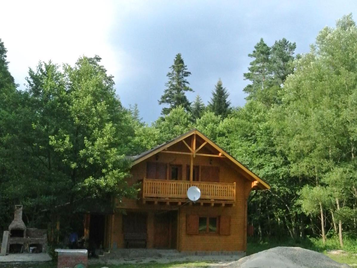 Chalet By The River Văliug Esterno foto