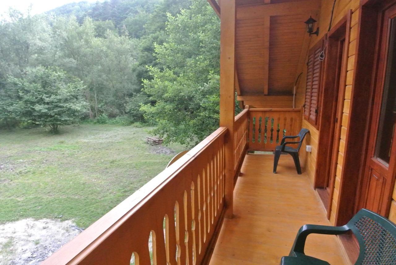 Chalet By The River Văliug Esterno foto